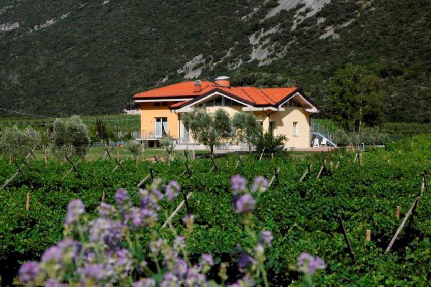 Holiday apartment in a sunny and quiet location surrounded by vineyards - BF-RN64
