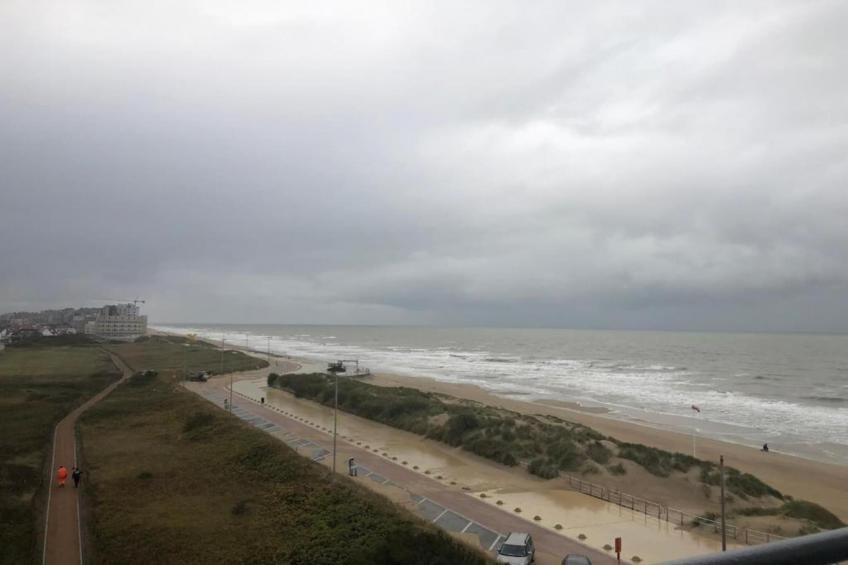 BRUYERES / 1 - foto 36