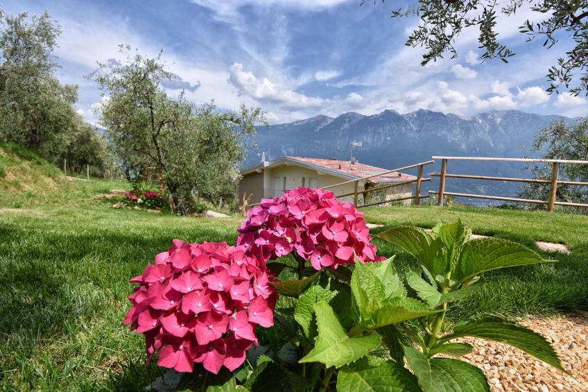 Holiday apartment overlooking lake - BF-3WNTV - foto 5