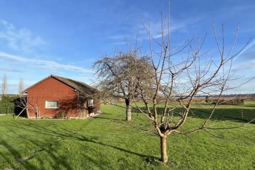 zum Regenbogen in Ermatingen - foto 45