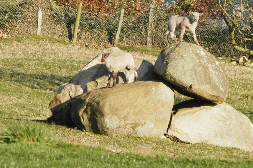 "Tromeal Lasalle" blick auf das Meer. Mit 4 Sternen klassifiziert - foto 41