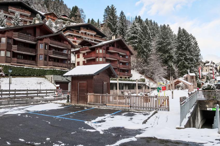 Bouquetins - foto 31