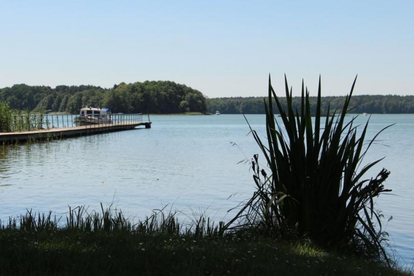 Mobilheim Lagune I in Lychen - foto 12