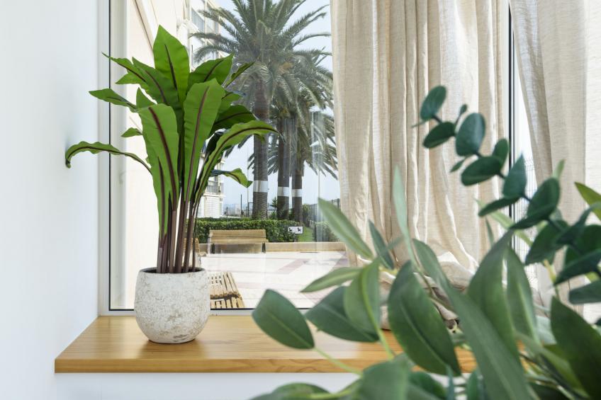 Paradis Playa - foto 24