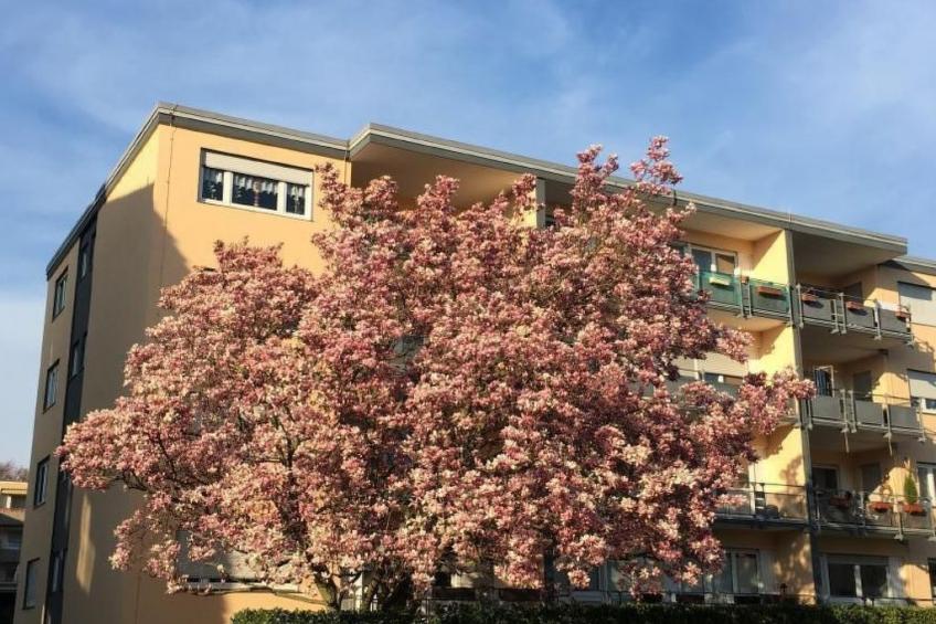 Stadtferienwohnung - foto 5