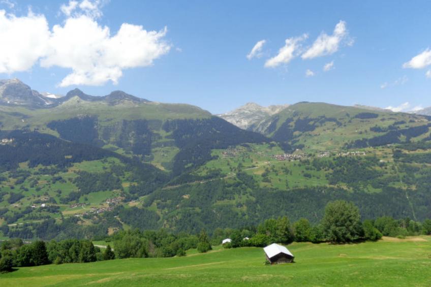 Casanova, Obersaxen-Friggahüs, (Obersaxen), 34084B - foto 15
