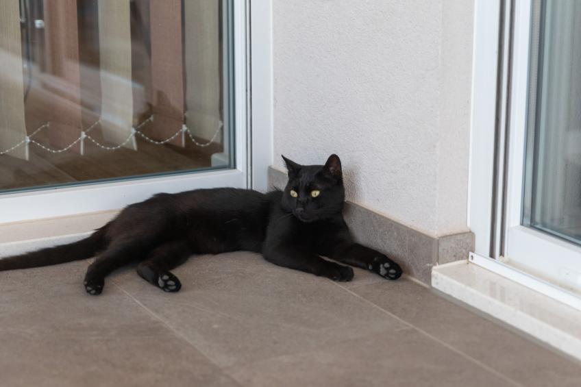 Villa Magdalena - foto 63