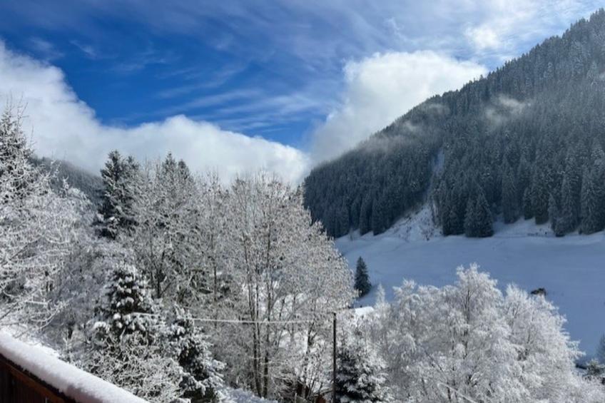 Chalet Violeta, (Morgins), - foto 11
