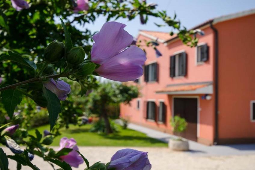Comfort Villa Roza in Umag - Five Bedroom Villa With Pool - foto 28