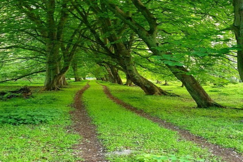 Am Gespensterwald - foto 30