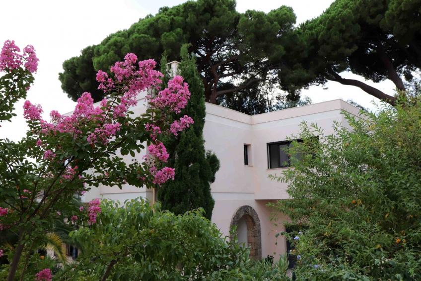 Villa Mascotte - foto 24