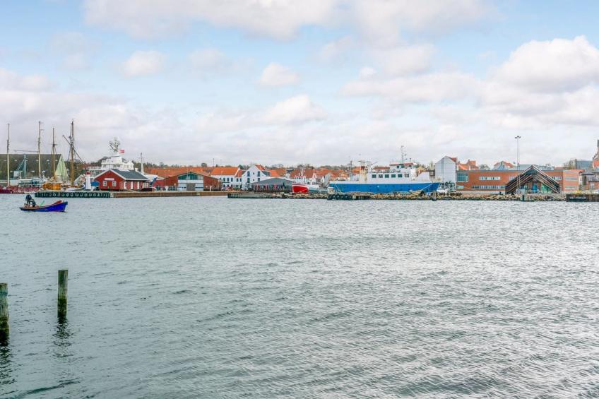"Gaby" - 250m from the sea in Funen - foto 28