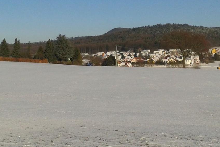 179886 - foto 15