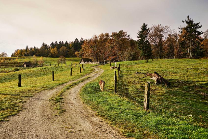 Visnja Gora Meadow Hideaway with Terrace - One Bedroom Cottage with Terrace (owner Hiška na skalci) - foto 33