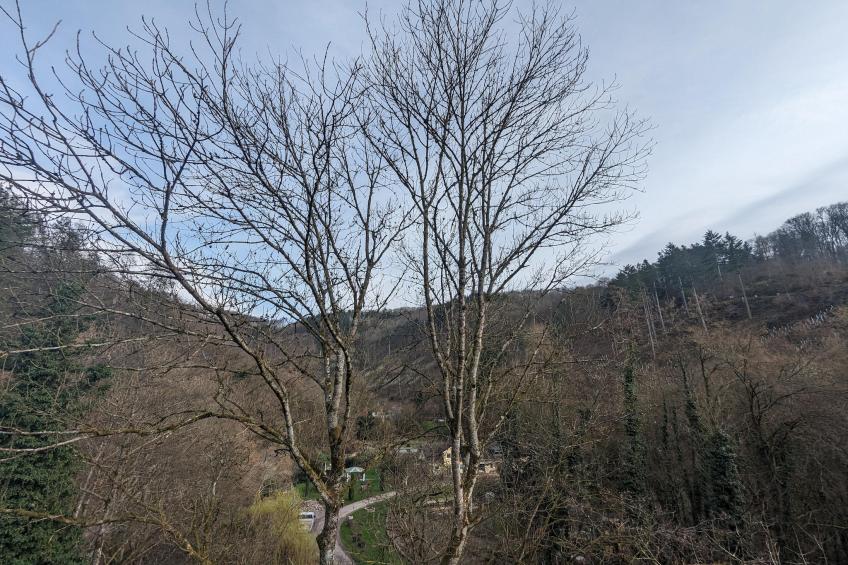 Double Room with Balcony - foto 17