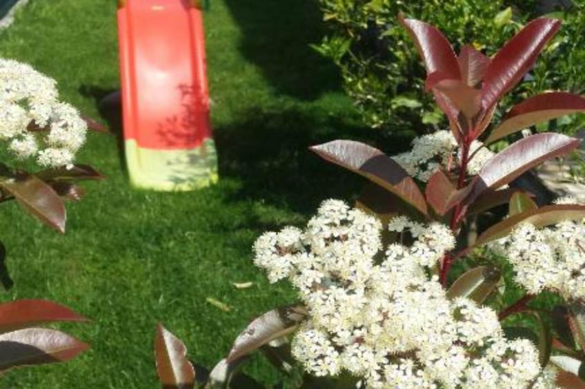 Villa Marica - Five bedroom Villa with Private Pool - foto 19