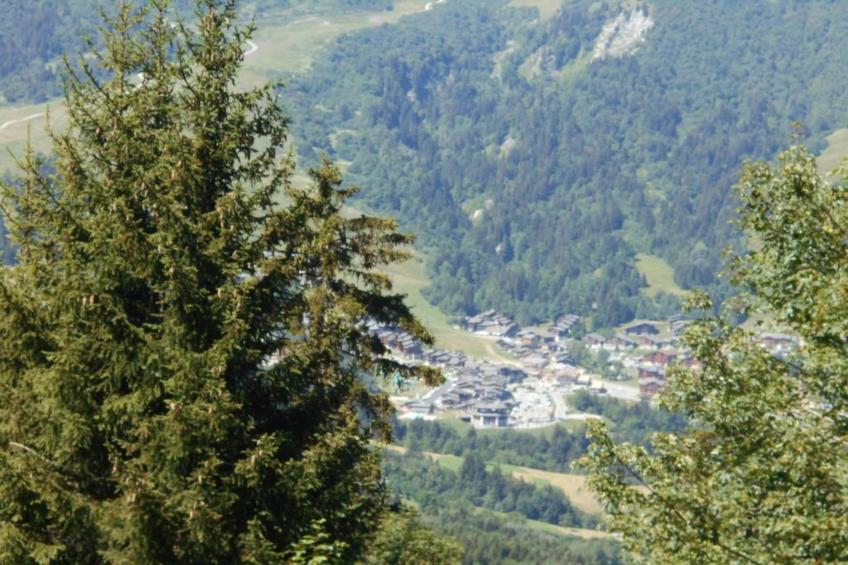 T du Morel A N°17 - 3P5 - foto 19