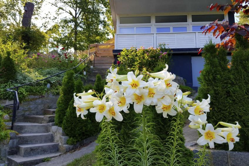 in Süd-Waldhanglage mit Seeblick - foto 3