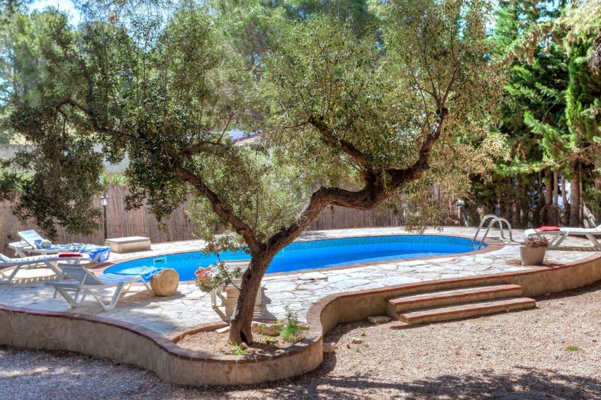 Vakantiewoning - VW-BN6G - foto 15