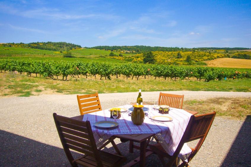 mit eigenem Pool - foto 23