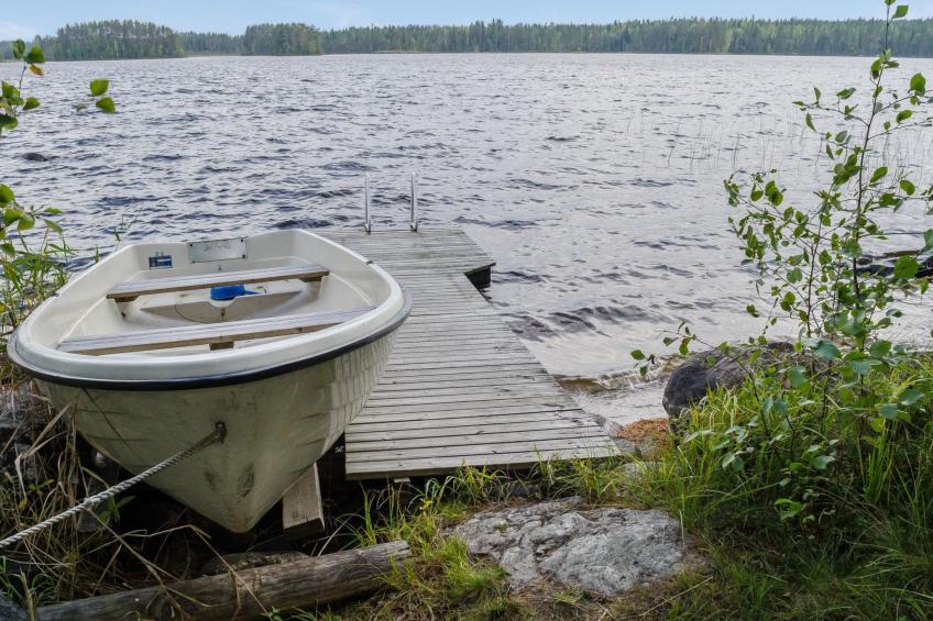 Koli, ulpukka - foto 3