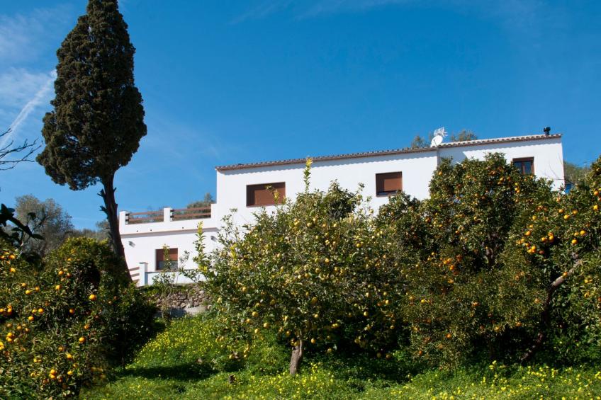 Villa La Noria, mit privatem Pool, Wifi, Garten - foto 41