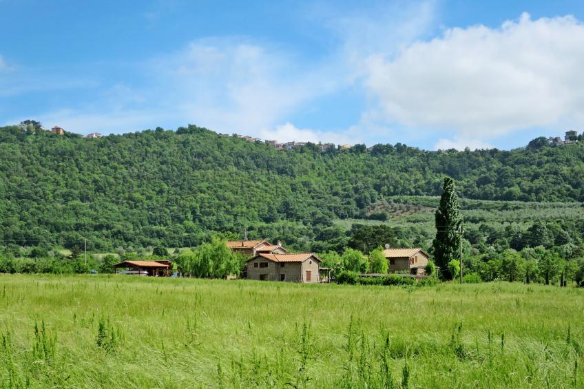 Podere La Cavallara (BOL564) - foto 23