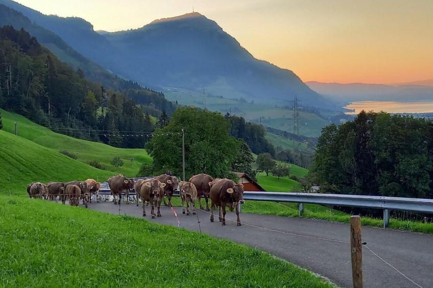 Biohof Langberg - foto 22