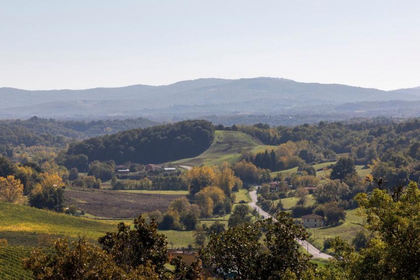 Historische Villa auf dem Lande in den toskanischen Hügeln - foto 6