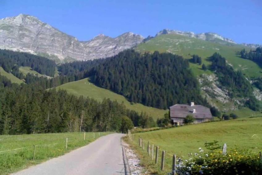 Super private Luxury Chalet with Hotel facilities - foto 38