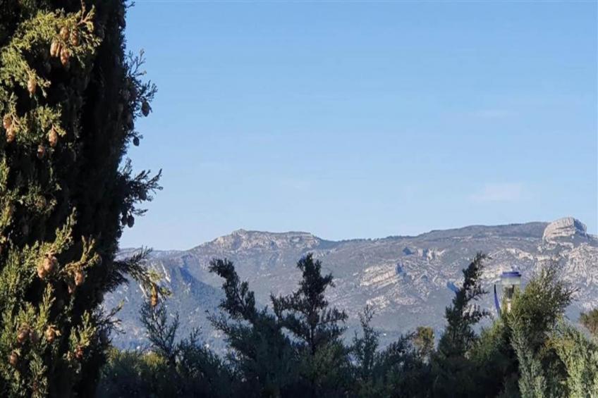 Shangri-La - foto 17