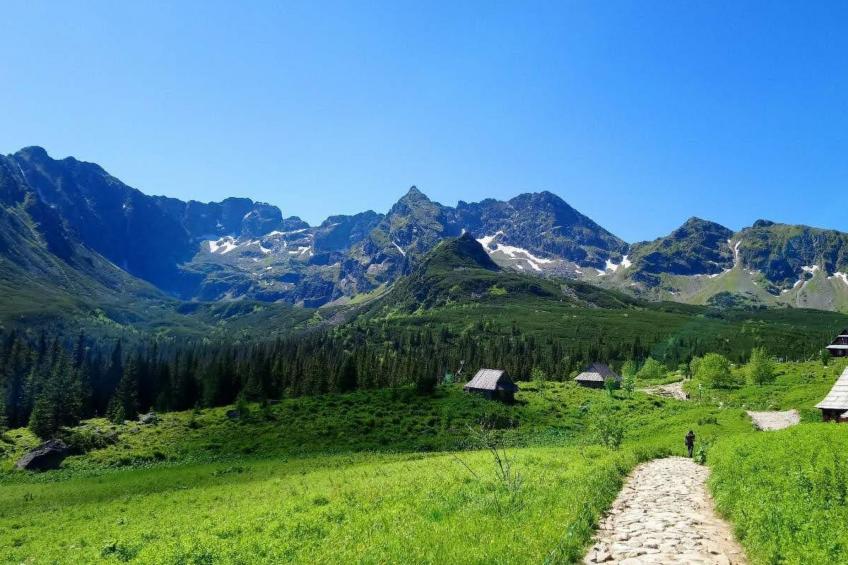 Krokus Tal Dorf unter der Tatra - foto 29
