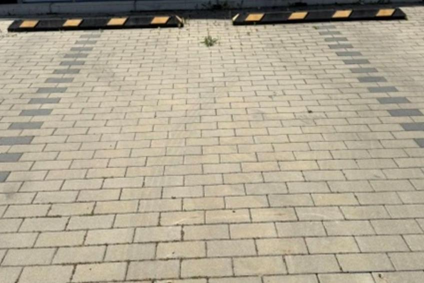 Panorama 180° - foto 6