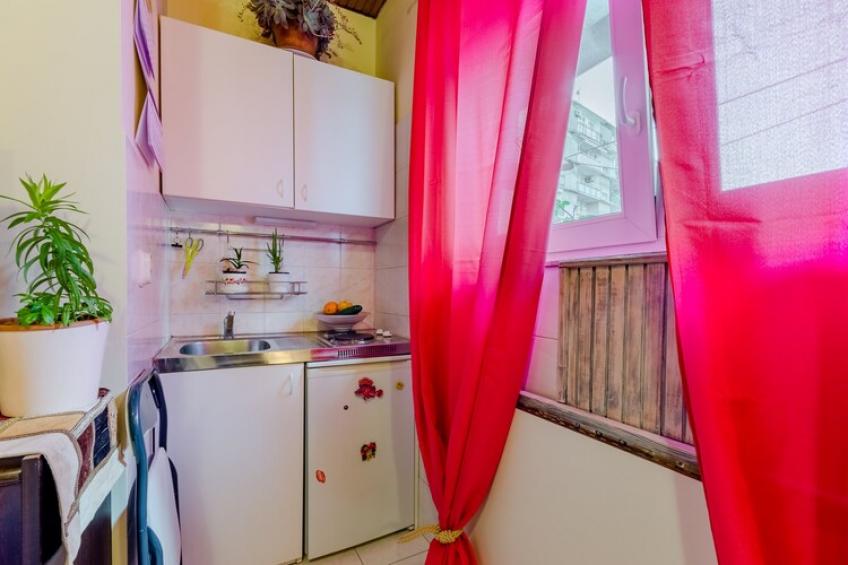Studio Apartment Silvana (ST) - Studio Apartmen near the Park - foto 14