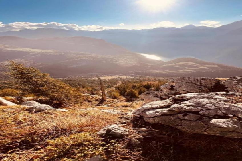 Schönau am Königssee - foto 39