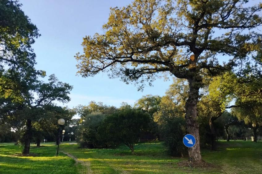 Zwei-Zimmer-Wohnung für maximal 4 Personen in Norbello - foto 20