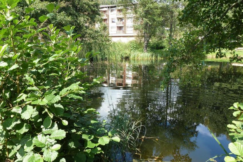 mit Balkon - foto 31