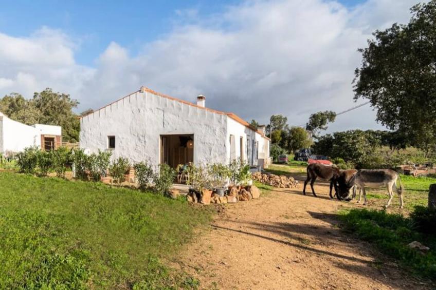 Casinha Da Paz - foto 25