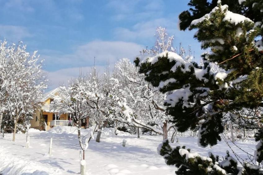 Hütte mit Garten, Grill und Terrasse - foto 55