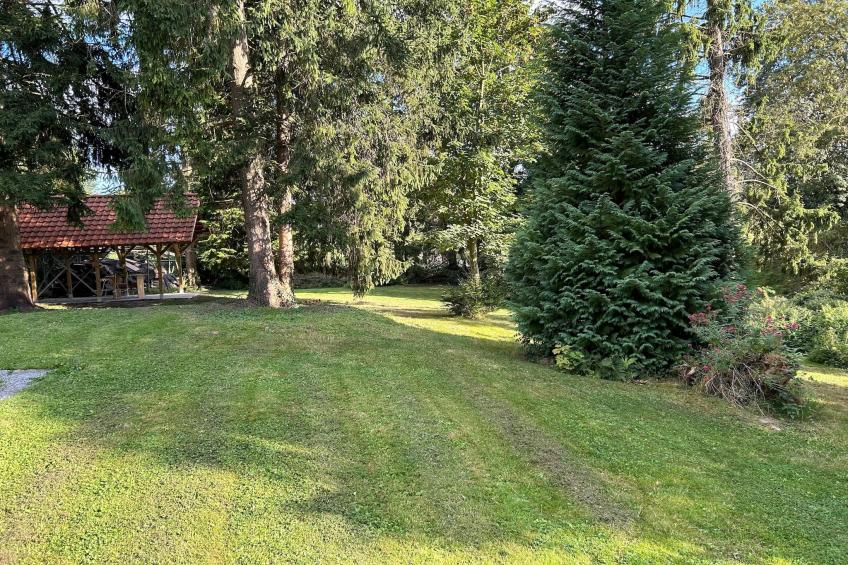 L'Ecureuil Blanc - foto 6