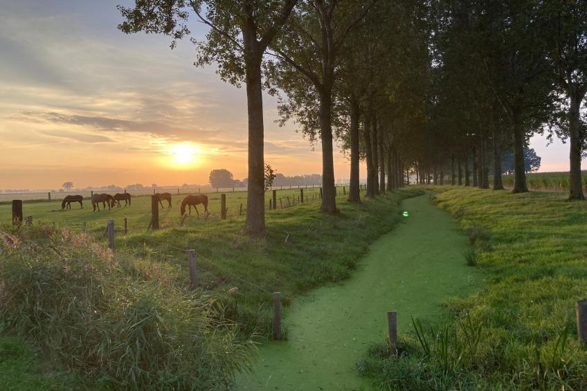 Biezenpolder - foto 22