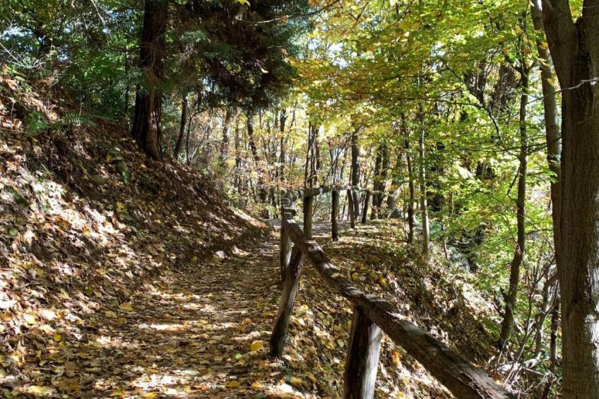 Casa Reduit Terrazza - foto 13