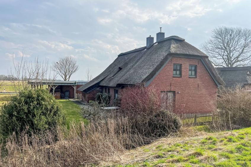 Westerdeich - foto 29