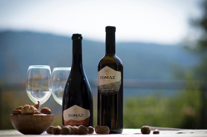 in Brkač mit Kleiner Terrasse - foto 3