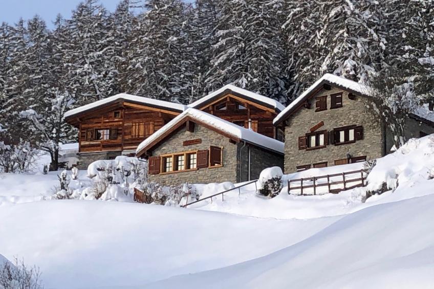 Tiny House facing the Alps - Ski in and out - foto 2