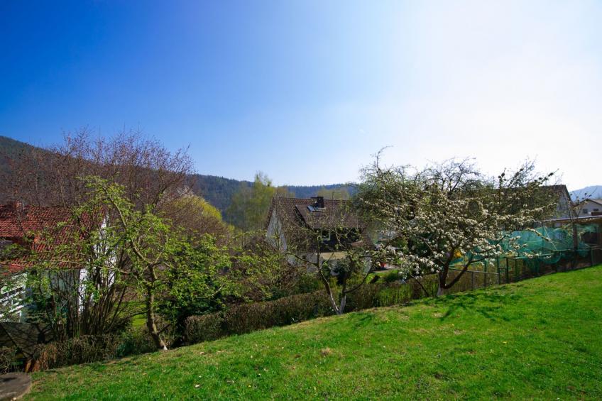 Fewo Dirks 2 - foto 22