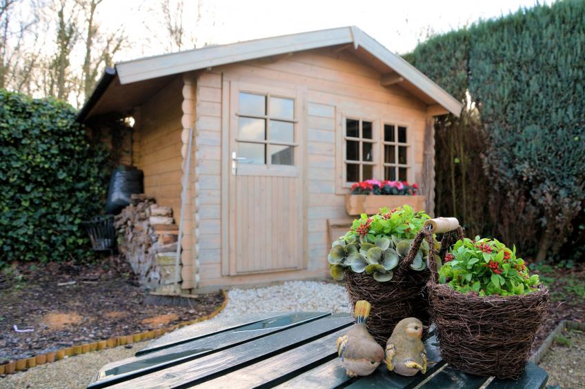 Bos-Lodge - foto 15