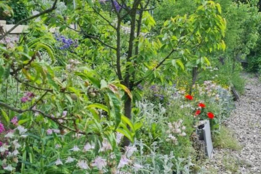 Roomantic Apartment für 4 Personen - foto 45