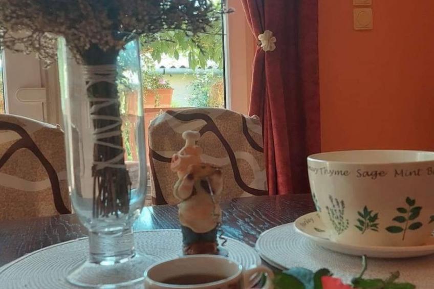 Schönes Ferienhaus mit Pool in ruhiger Lage - foto 6