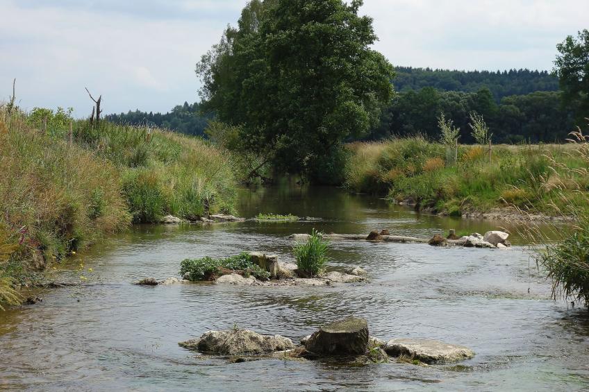 Familien Domizil - foto 12